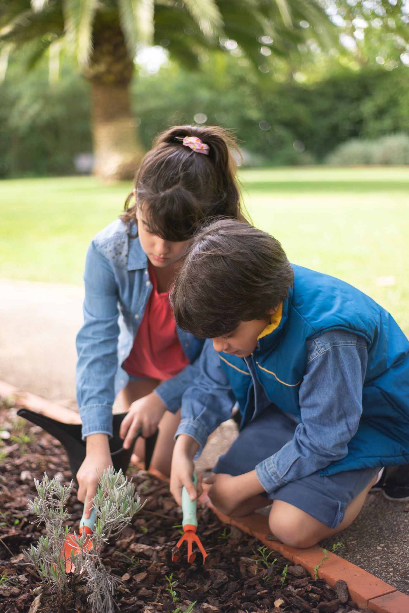 Two children planting in a garden bed with small tools